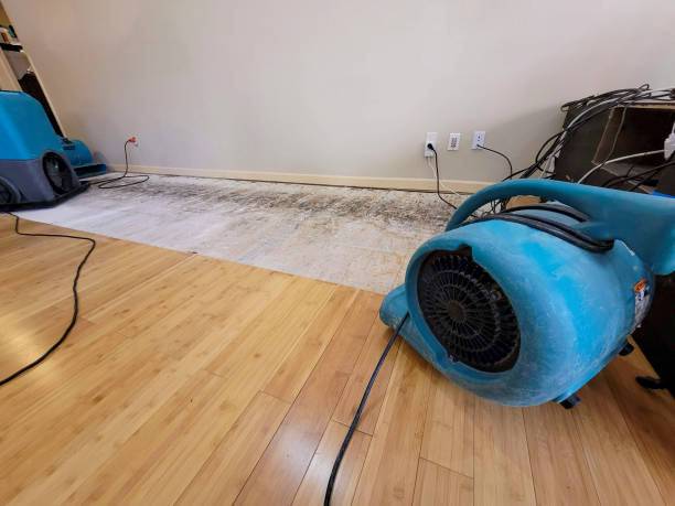 Reliable Basement Flood Cleanup contractor in Yale, MI by Hirex Water Damage