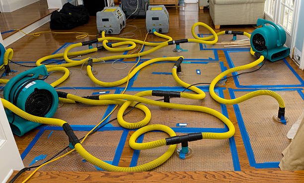 Professional Basement Flood Cleanup technician working in Yale, MI