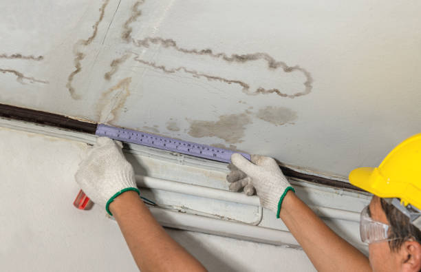 Affordable Water Damage Repair solutions in Yale, MI